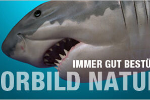 blog-zaehne-nachwachsen-dr-marc-hinze