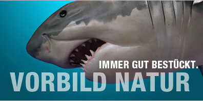 blog-zaehne-nachwachsen-dr-marc-hinze